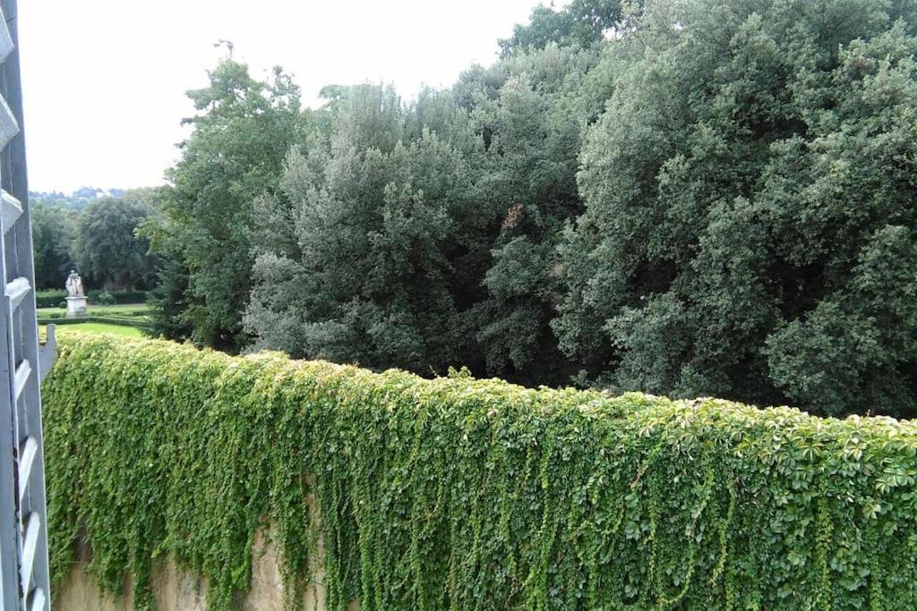Un'Angolo Incantato Apartment Firenze Bagian luar foto